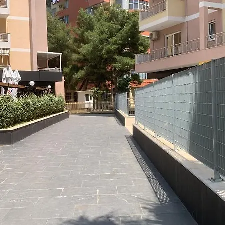 Ariani Shëngjin